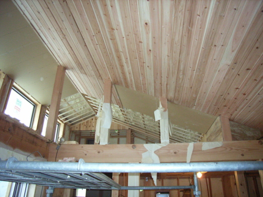 2kaiyane_060405.JPG
