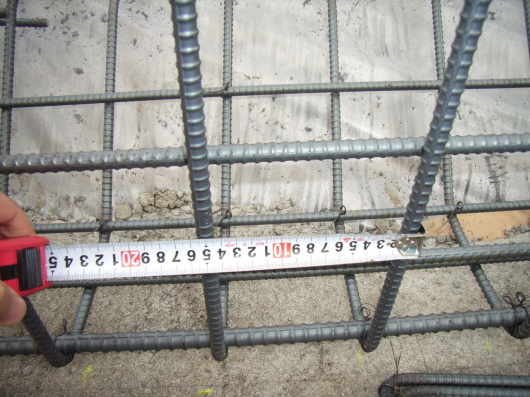 haikin_060130-2.JPG