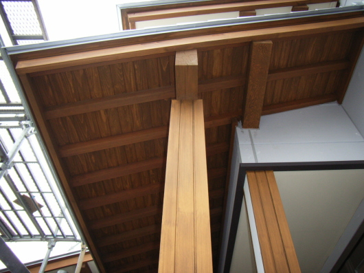 hogozai_060515.JPG
