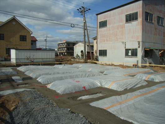 sheet_060125.JPG